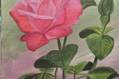 8e5c5b927592ae81a62938c2265f7449